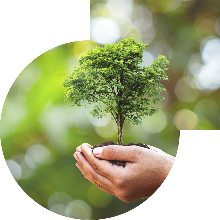 關懷人類、文化、環境與社會